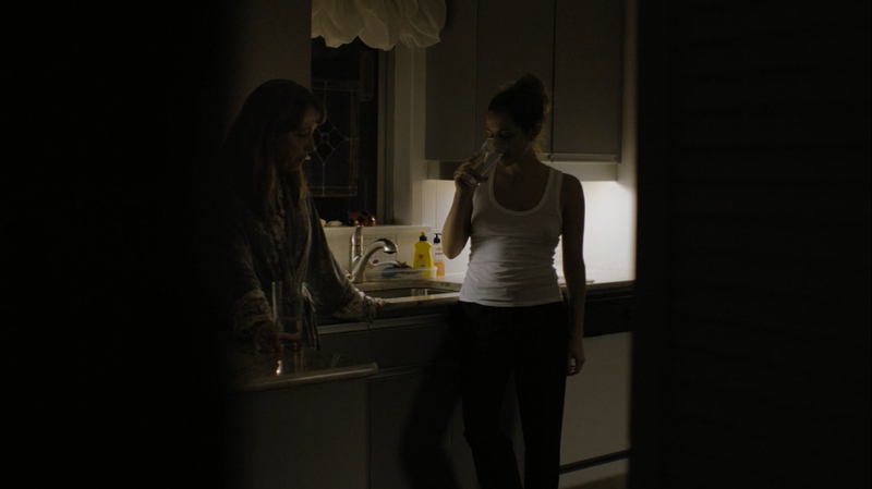 Illustration for article titled Home provides no comfort on The Girlfriend Experience